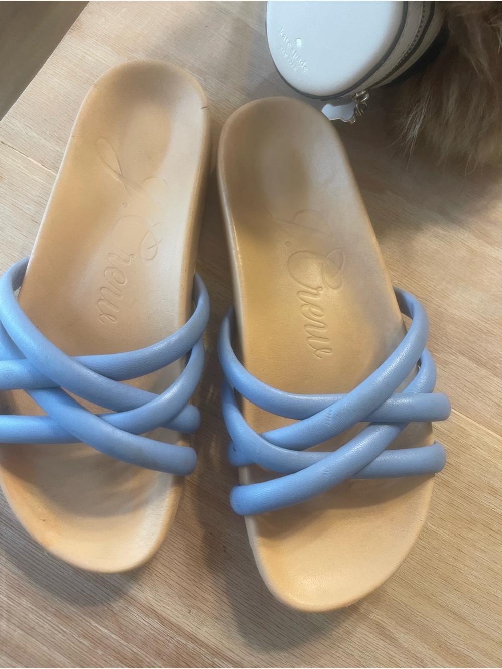 J. Crew Powder Blue Strappy Slide Sandals